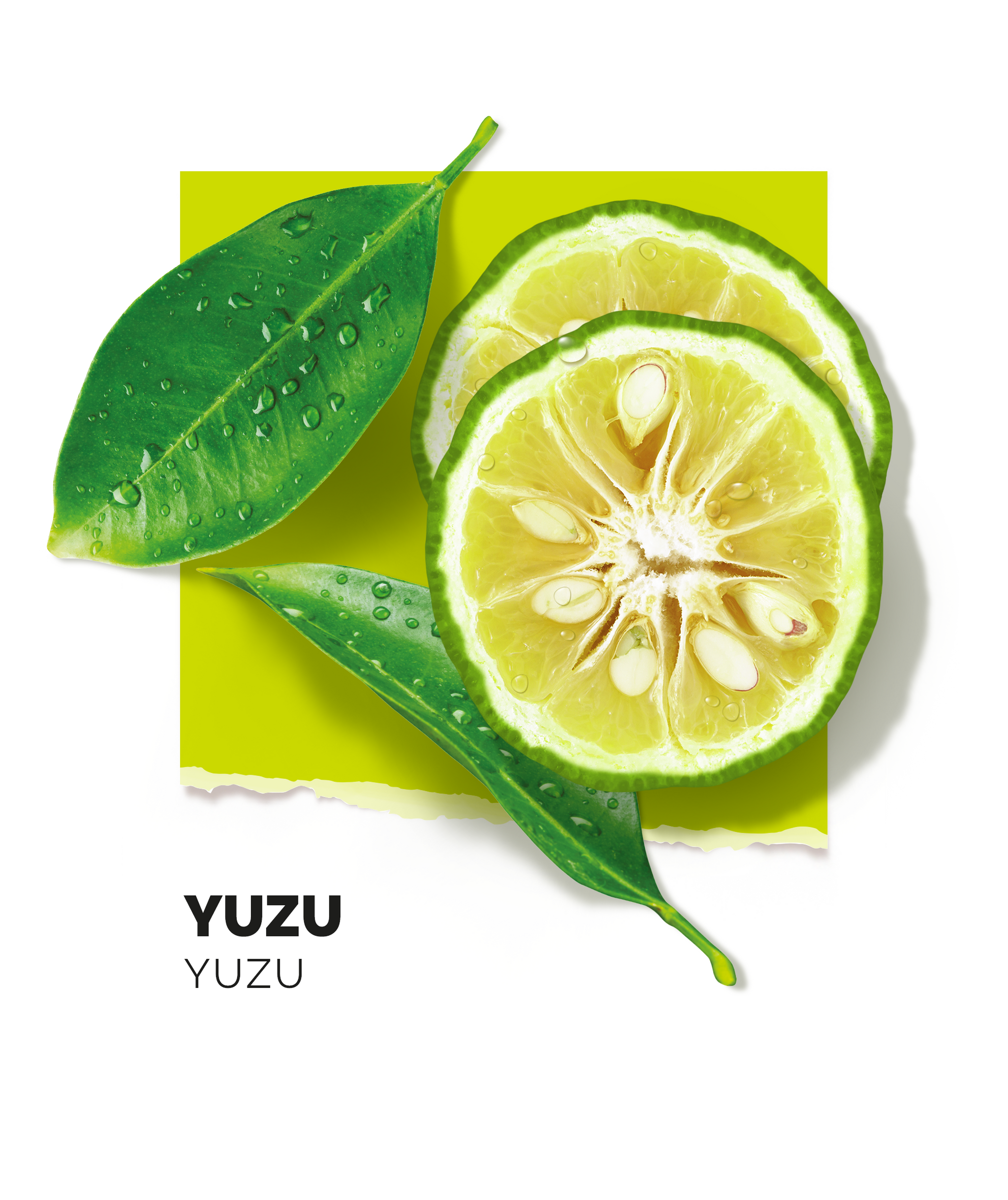 Yuzu - 15ml – Solinotes